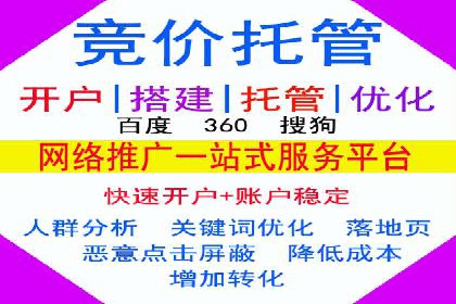 百度竞价排名案例分享：广告投放的技巧与误区